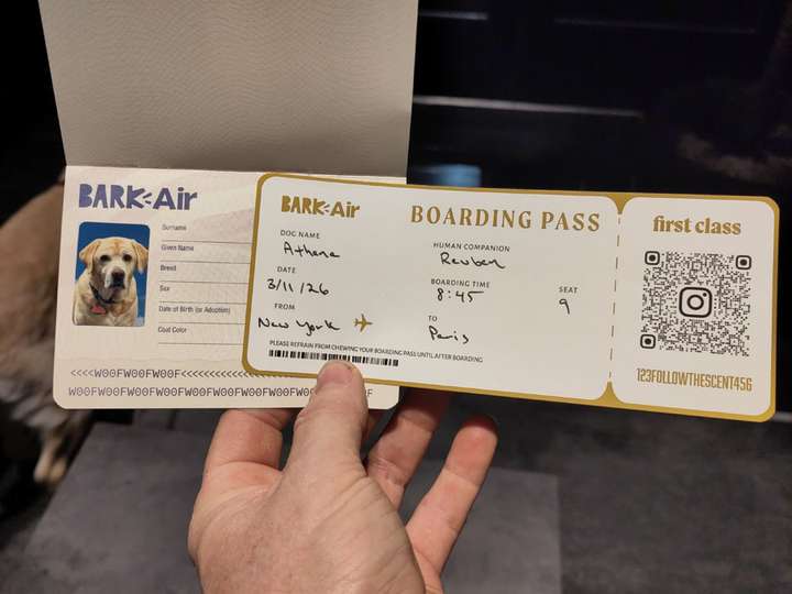 Athena's passport and boarding pass.