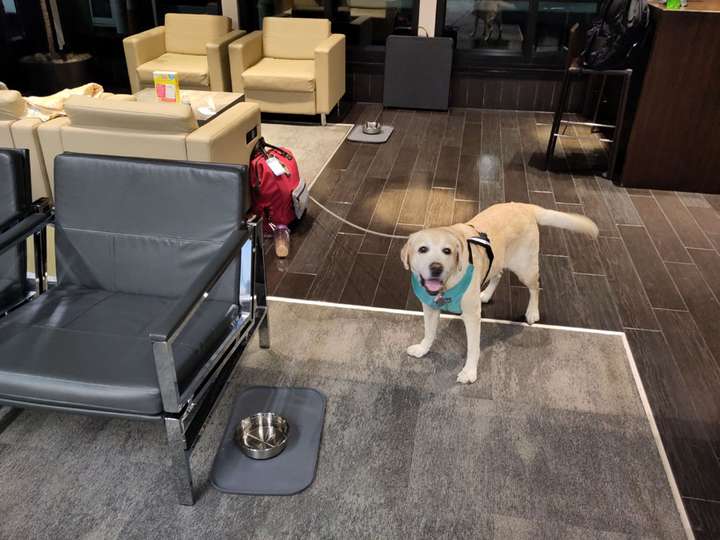 Athena in boarding lounge