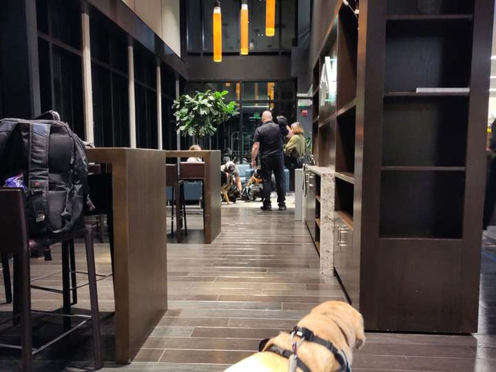 A wide shot of the boarding lounge