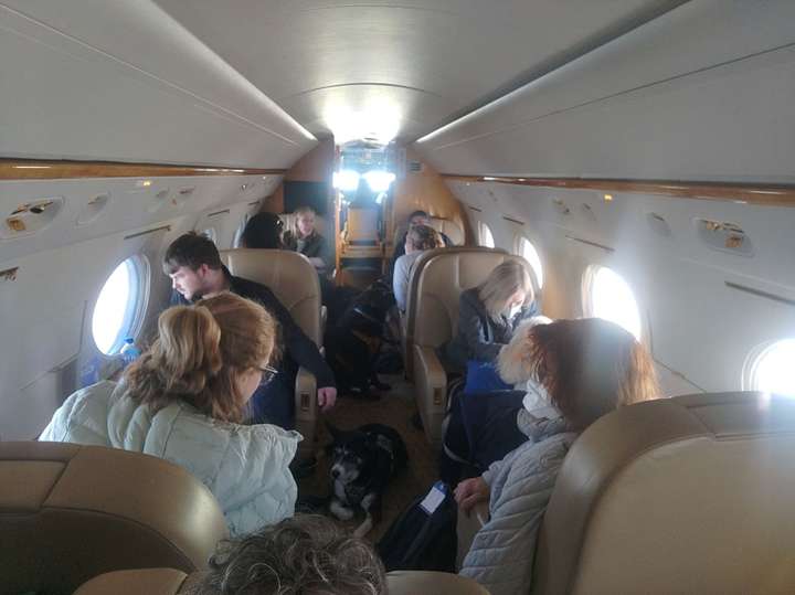People and dogs on small airplane