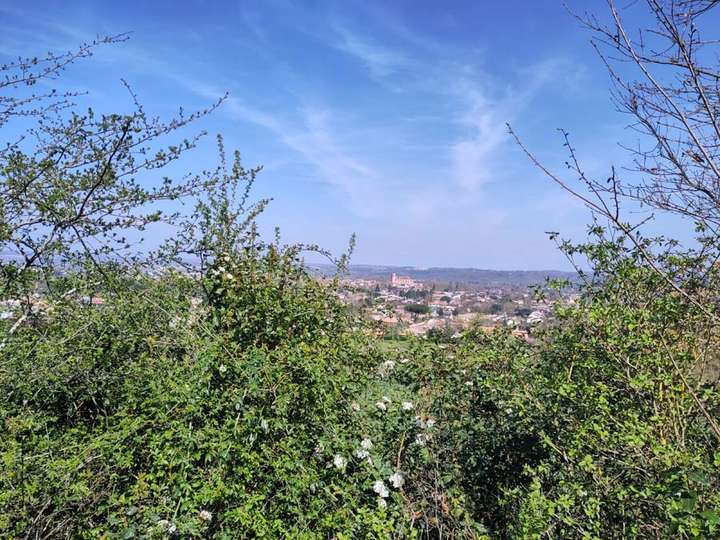 View of town over hedgerow