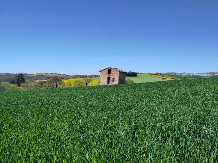 Hay field with farm building