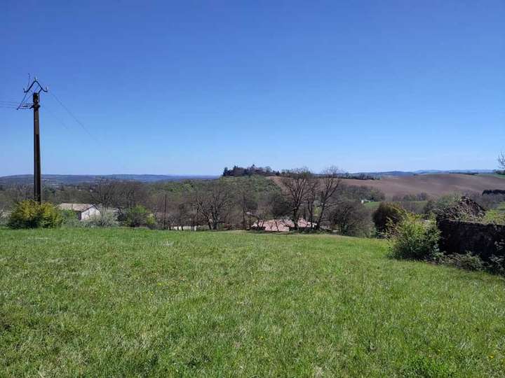 View of scrubby field