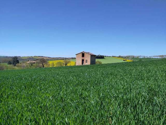 Hay field with farm building