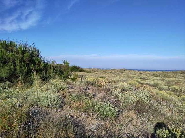 View of dunes near Beziers, France
